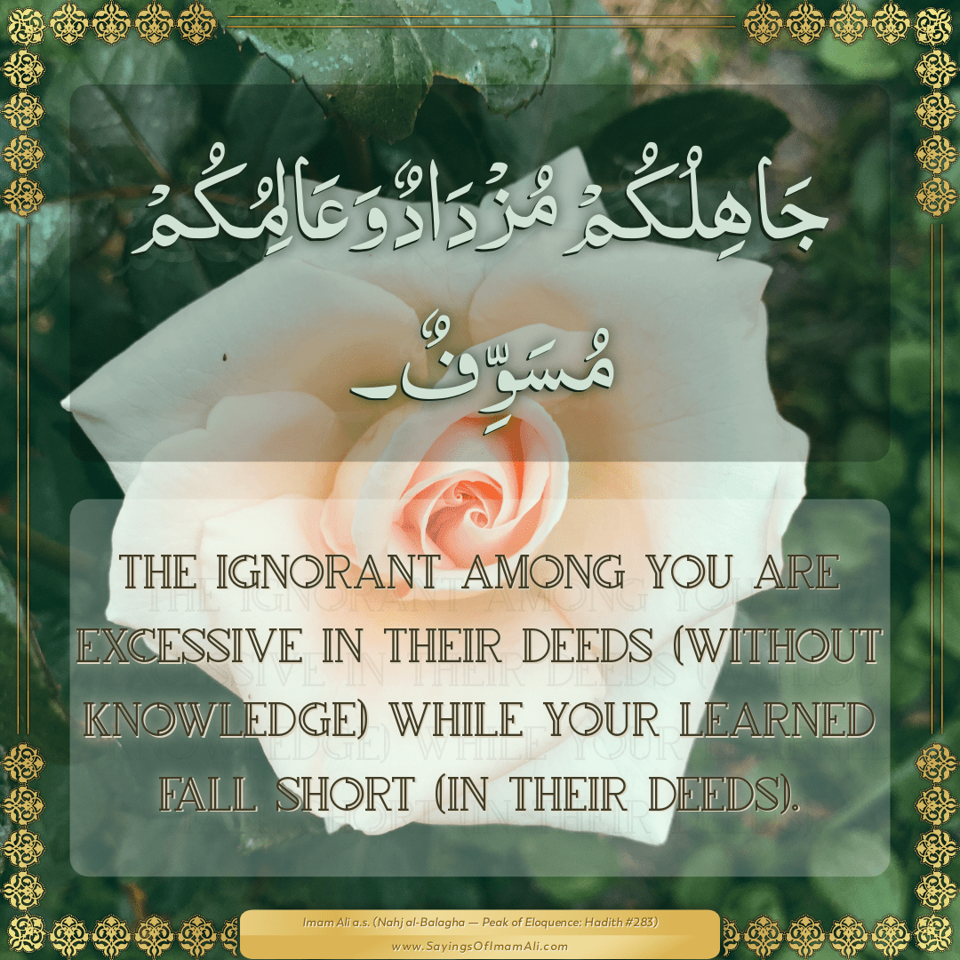 The ignorant among you are excessive in their deeds (without knowledge)...